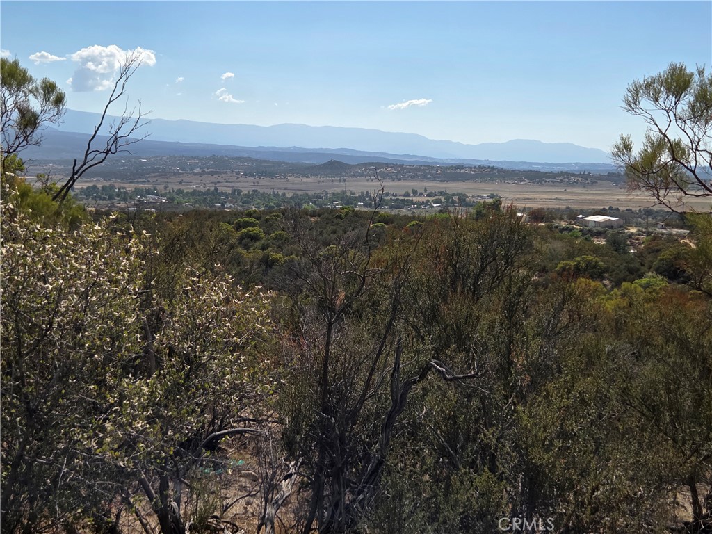 0 Mount Road Anza, CA 92539 - Photo 24 of 25 a view of a city with lush green forest
