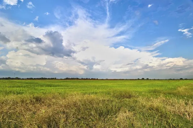 $4,832,000 | Tbd Ward Line Road, Iowa, LA 70647