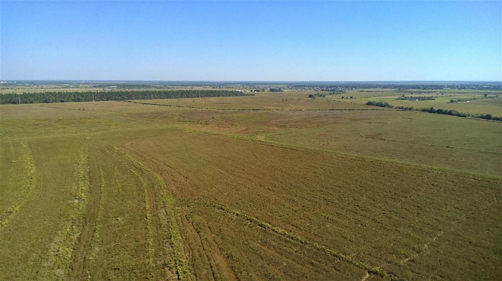Tbd Ward Line Road Iowa, LA 70647 - Photo 11 of 21