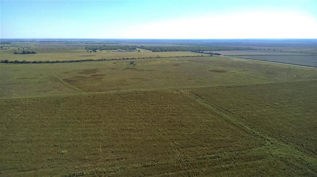 Tbd Ward Line Road Iowa, LA 70647 - Photo 14 of 21