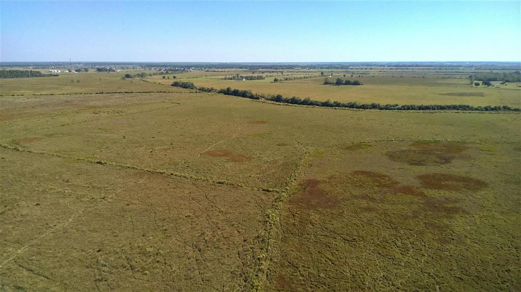 Tbd Ward Line Road Iowa, LA 70647 - Photo 15 of 21