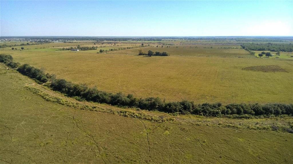 Tbd Ward Line Road Iowa, LA 70647 - Photo 16 of 21