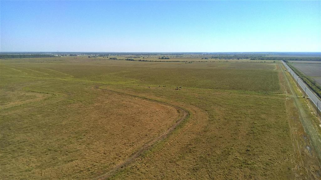 Tbd Ward Line Road Iowa, LA 70647 - Photo 8 of 21