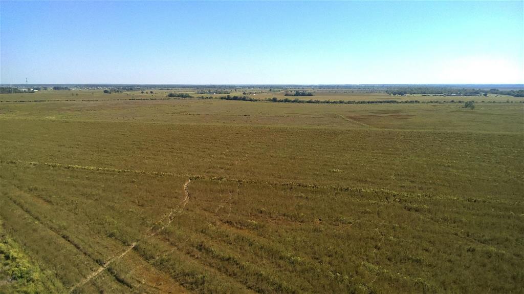 Tbd Ward Line Road Iowa, LA 70647 - Photo 10 of 21