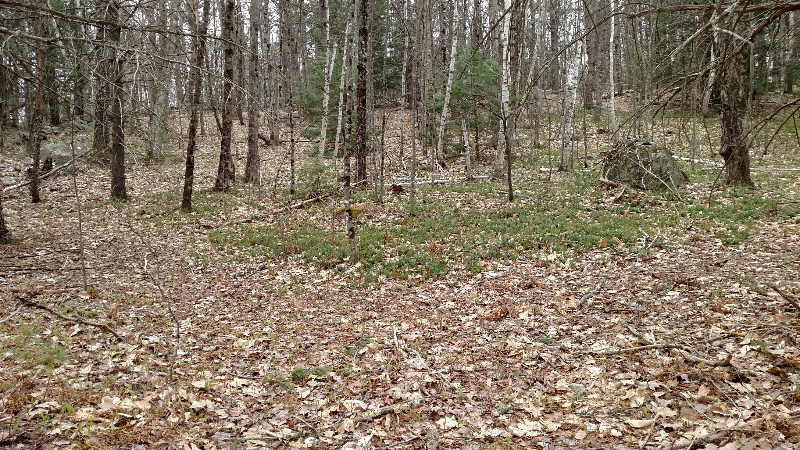 93 Rohr Road Limerick, ME 04048 - Photo 1 of 10 top right corner 2(east)