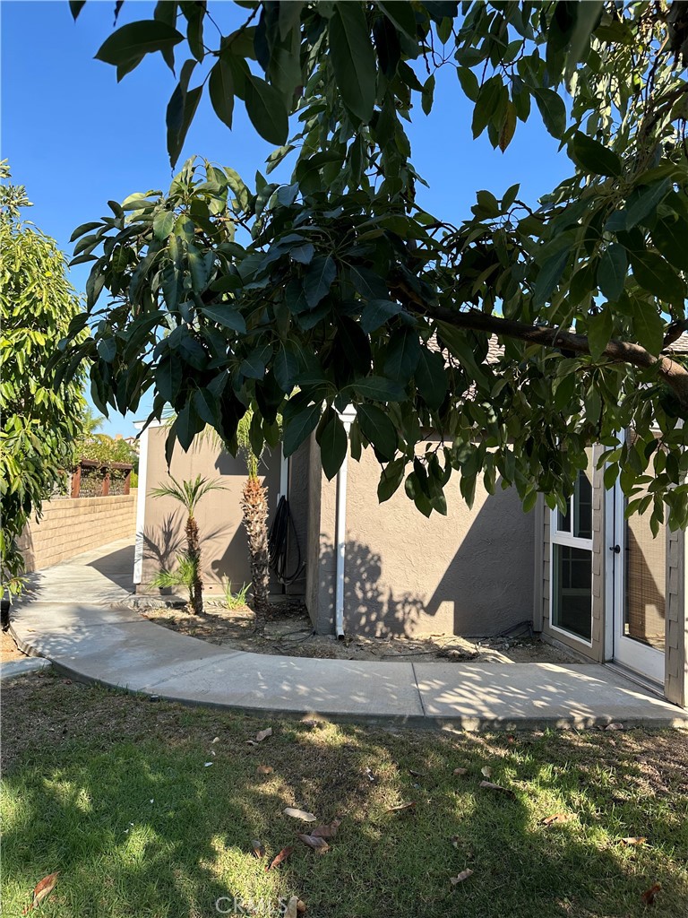 6707 Rycroft Drive Riverside, CA 92506 - Photo 18 of 41 a view of a yard