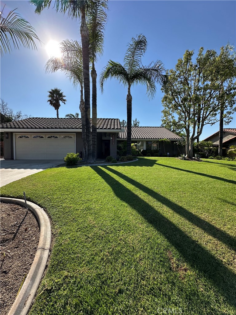 6707 Rycroft Drive Riverside, CA 92506 - Photo 2 of 41 a view of a swimming pool with a yard
