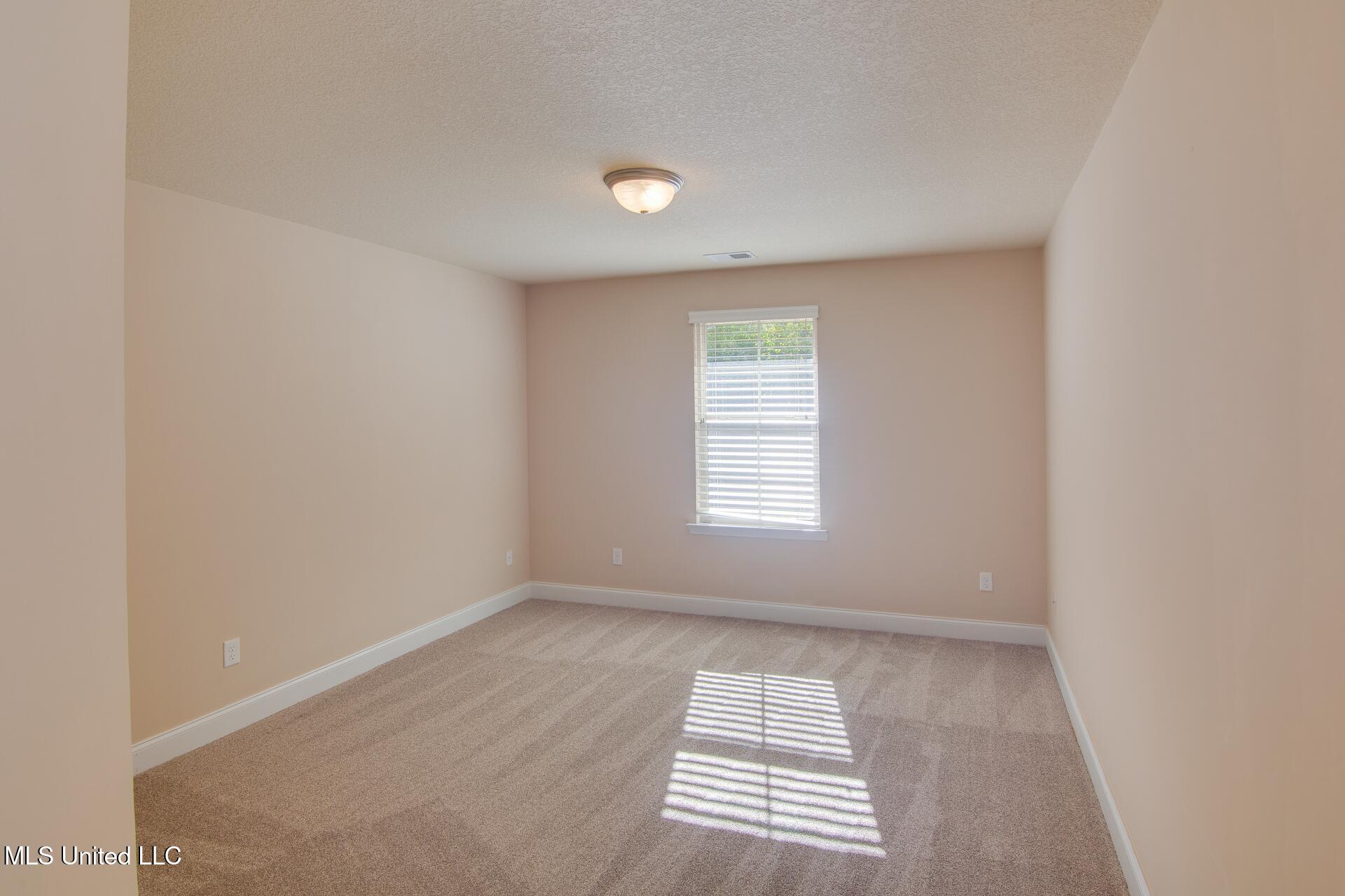 6769 Terry Chase Olive Branch, MS 38654 - Photo 14 of 17 Bedroom 3