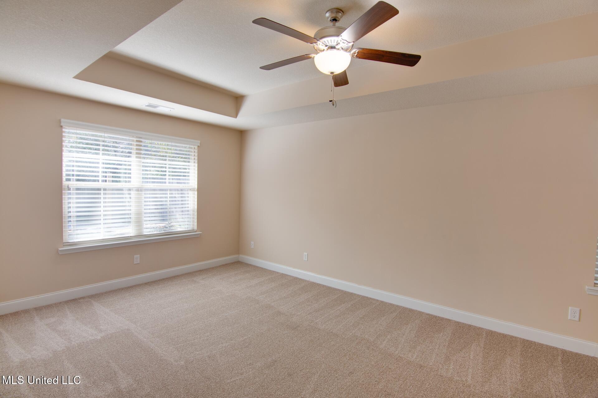 6769 Terry Chase Olive Branch, MS 38654 - Photo 9 of 17 Master Bedroom