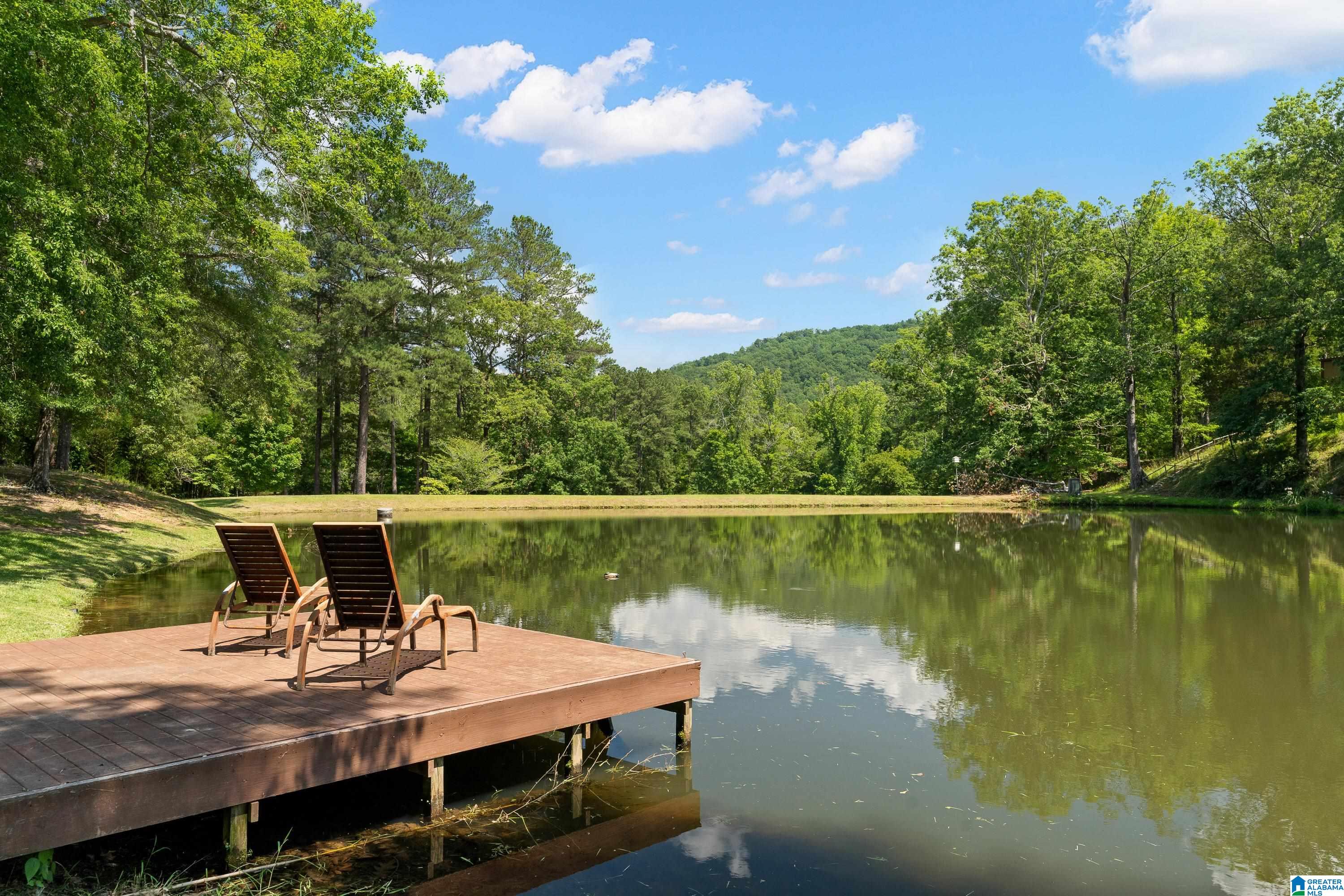 9314 Bear Creek Road Sterrett, AL 35147 - Photo 73 of 100