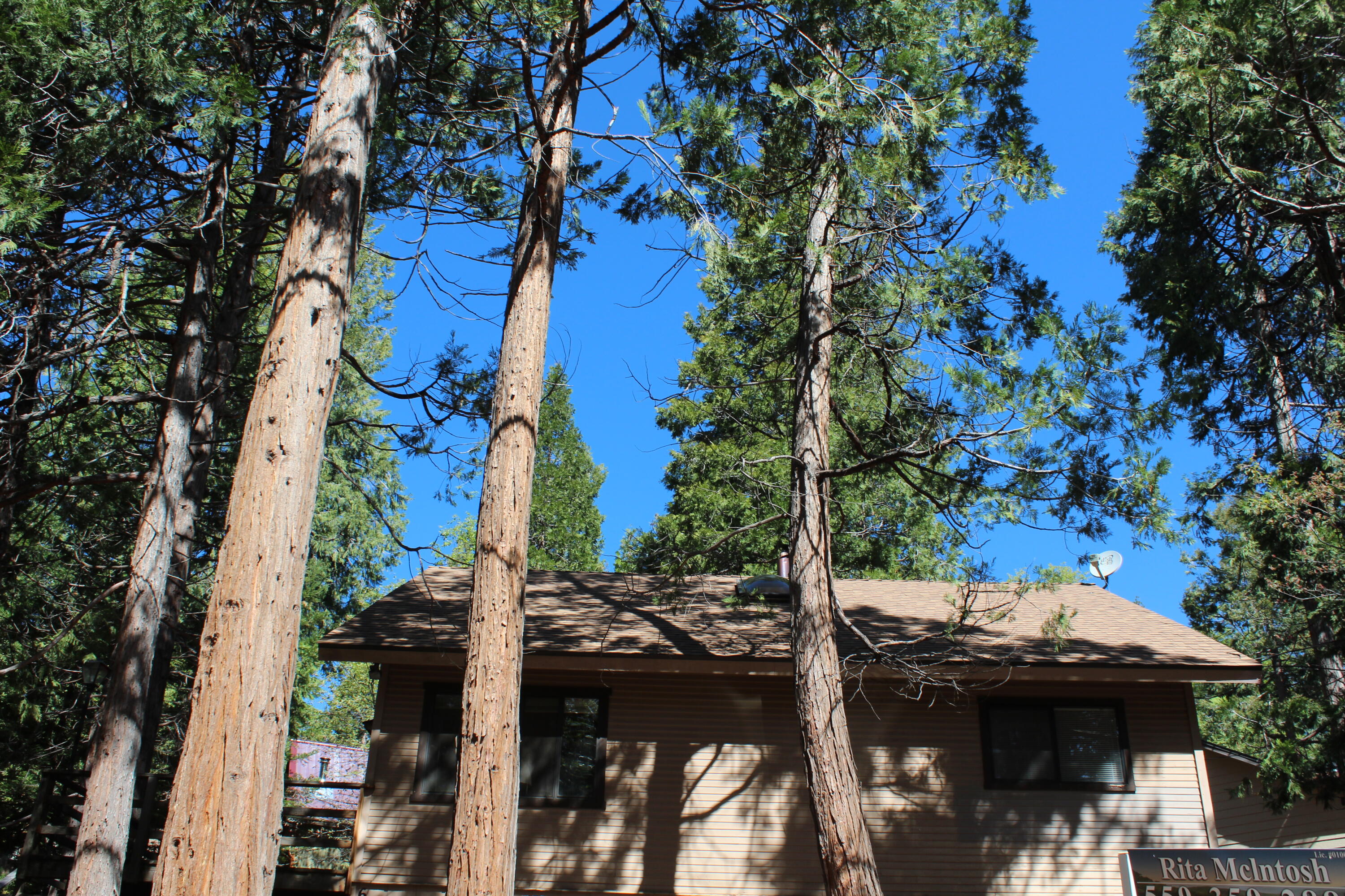 603 Legar Drive Springville, CA 93265 - Photo 43 of 46 New Roof view from street