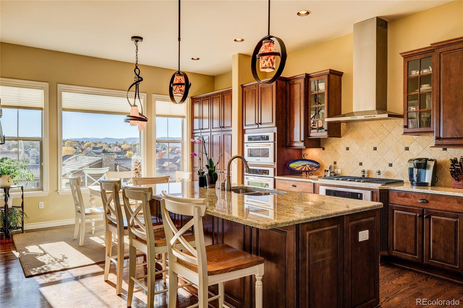 9327 Viaggio Way Highlands Ranch, CO 80126 - Photo 6 of 26 Gallery Image 6
