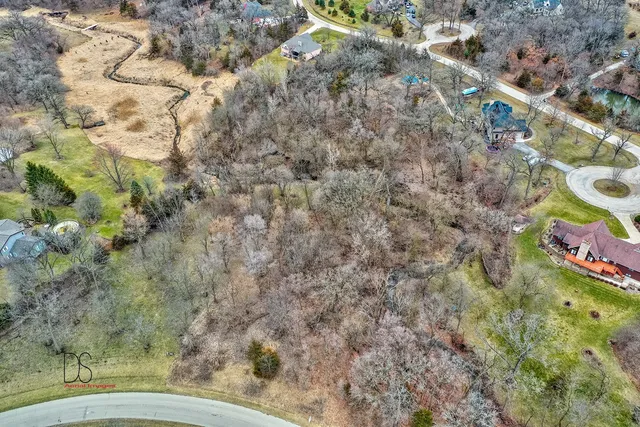a view of yard with trees