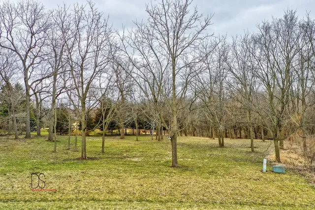 a view of a garden with trees