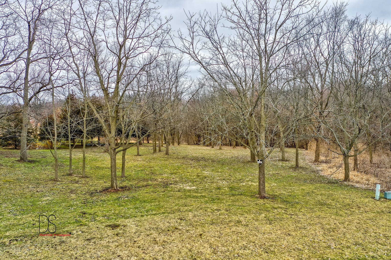 2618 3689th Road Sheridan, IL 60551 - Photo 15 of 16 a view of yard with trees