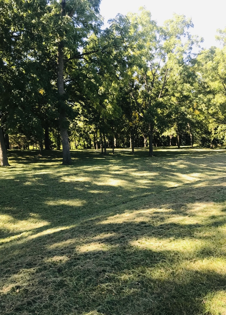 2618 3689th Road Sheridan, IL 60551 - Photo 3 of 16 a view of a big yard with a large trees