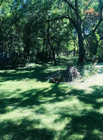 a view of a park with large trees