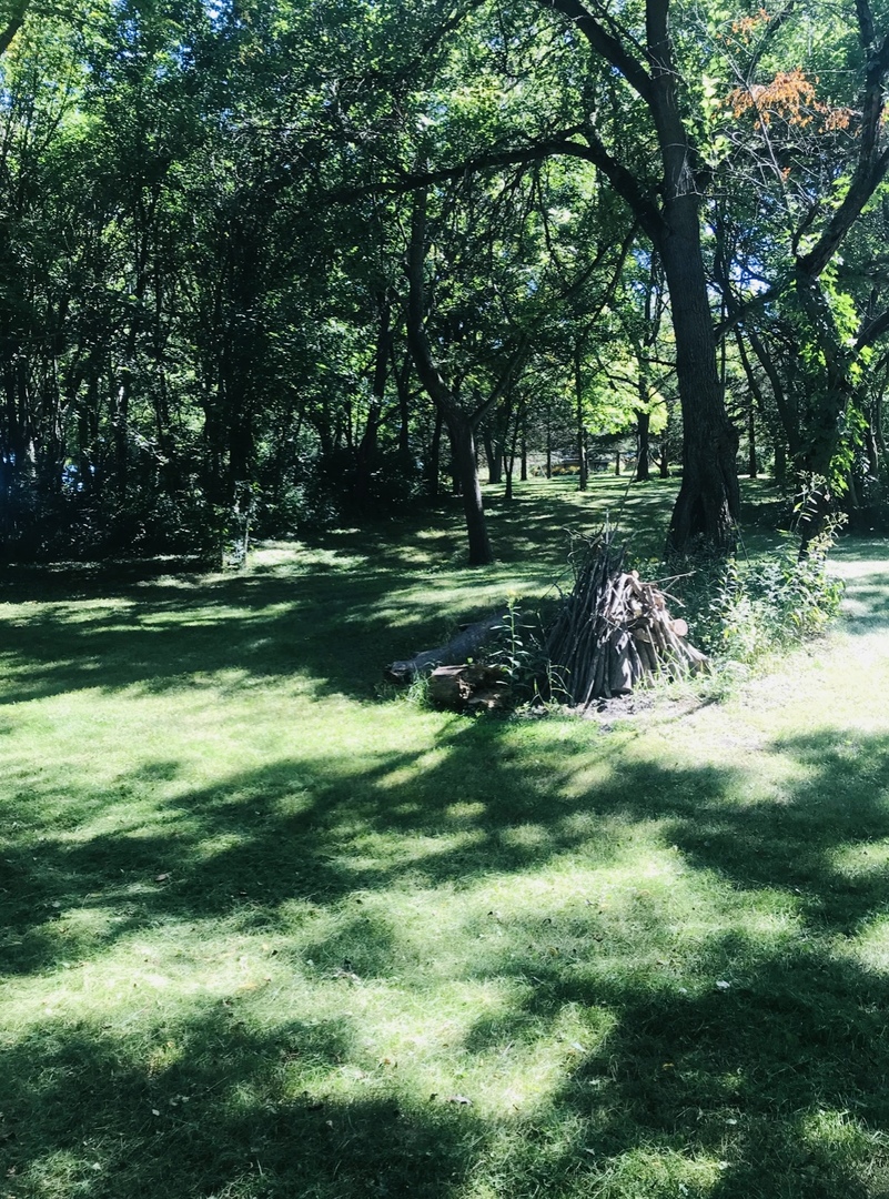 2618 3689th Road Sheridan, IL 60551 - Photo 5 of 16 a view of a park with large trees