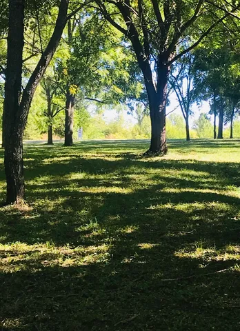 a big yard with lots of green space houses and lake view