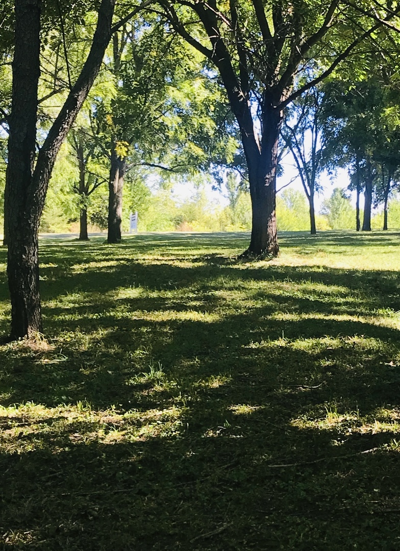 2618 3689th Road Sheridan, IL 60551 - Photo 7 of 16 a big yard with lots of green space houses and lake view