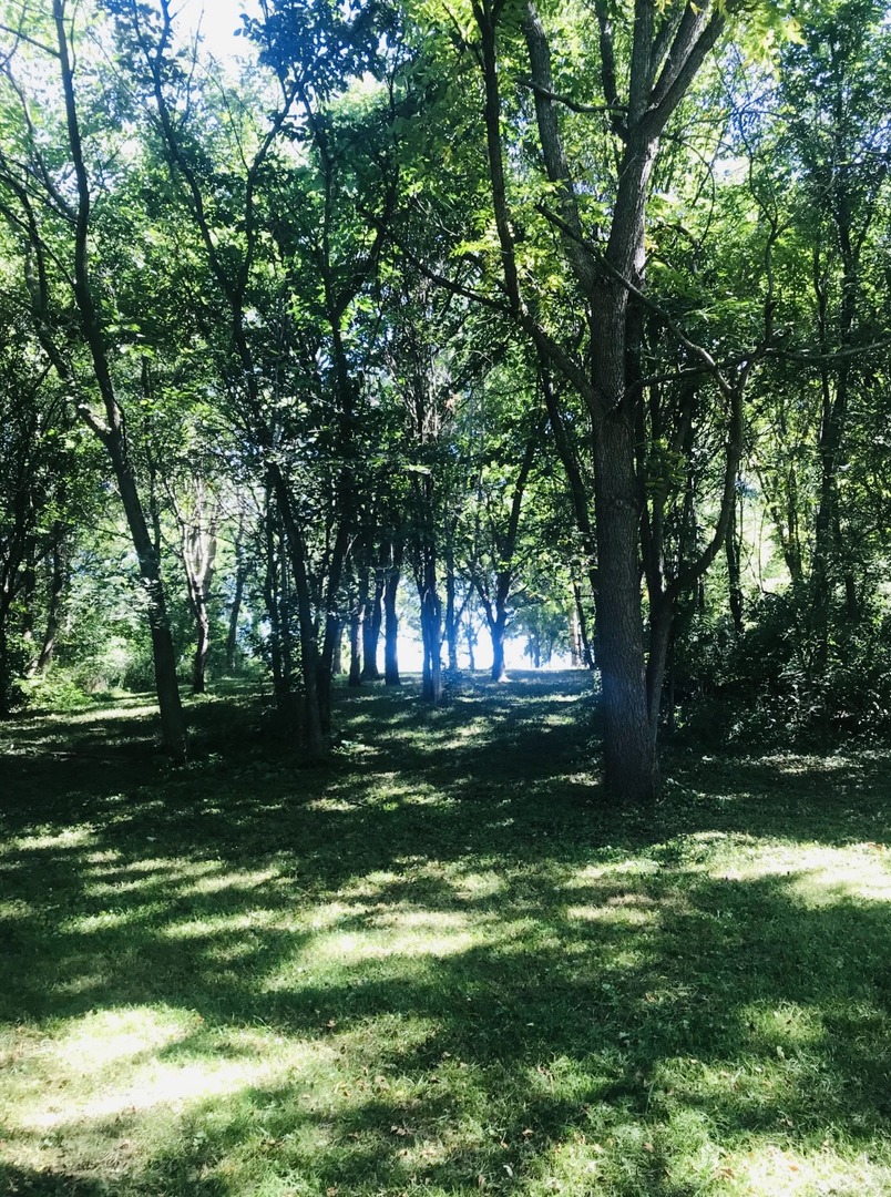 2618 3689th Road Sheridan, IL 60551 - Photo 8 of 16 a view of a park