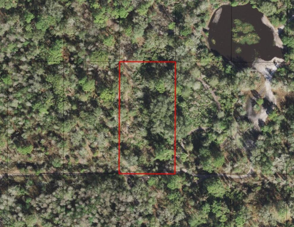 0 County Rd 54 E Kathleen, FL 33849 - Photo 2 of 2