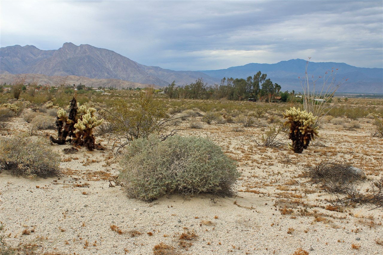9 Digiorgio Road Borrego Springs, CA 92004 - Photo 1 of 5 Gallery Image 1