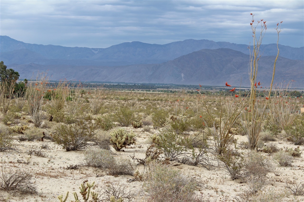 9 Digiorgio Road Borrego Springs, CA 92004 - Photo 2 of 5 Gallery Image 2