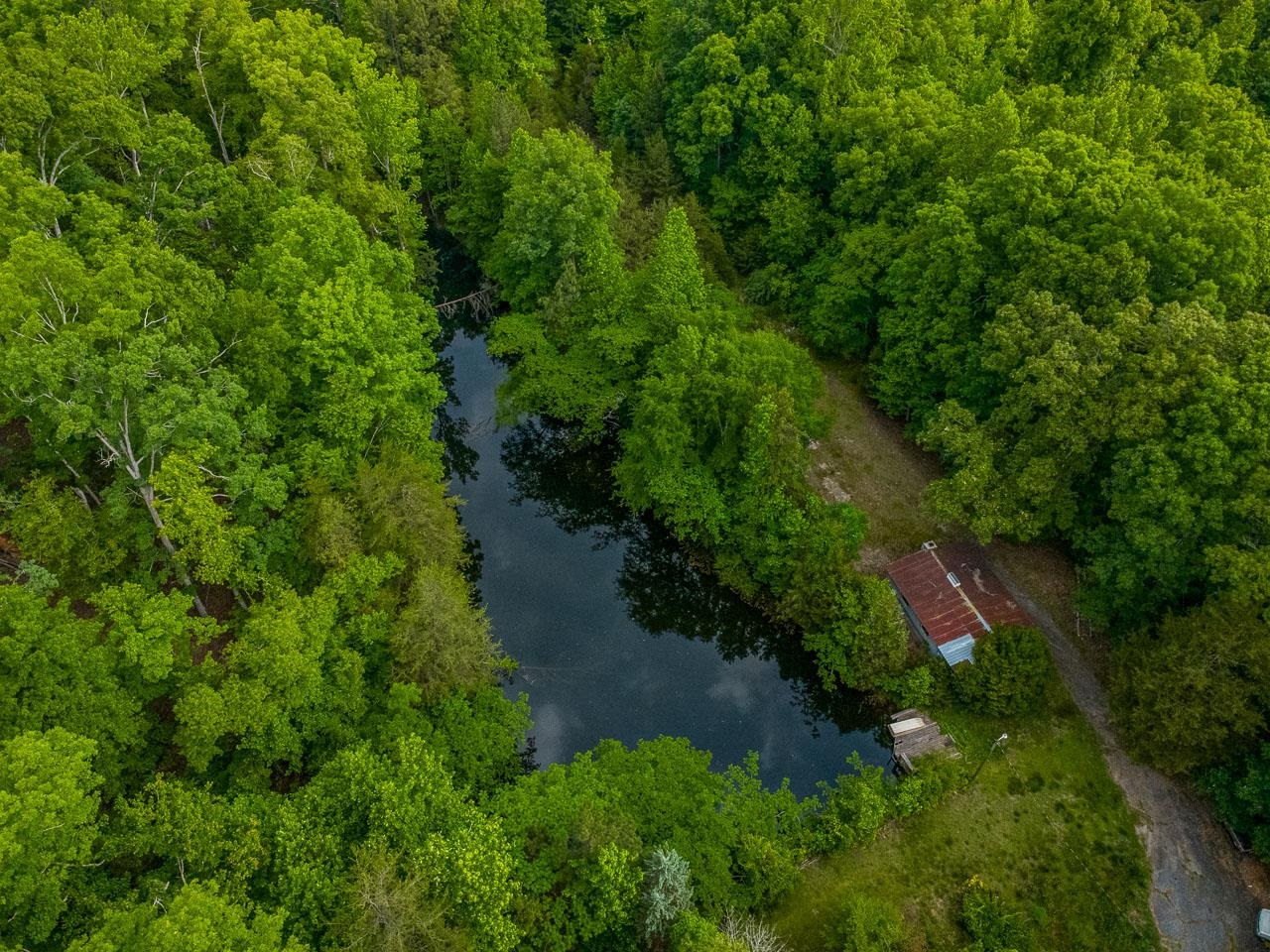 2840 Glenn Springs Road Pauline, SC 29374 - Photo 9 of 26