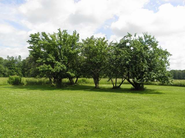 W11039 Midway Road Hawkins, WI 54530 - Photo 9 of 20 Gallery Image 9