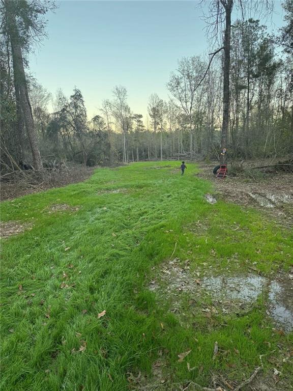 12663 Arcola Road Roseland, LA 70456 - Photo 3 of 4