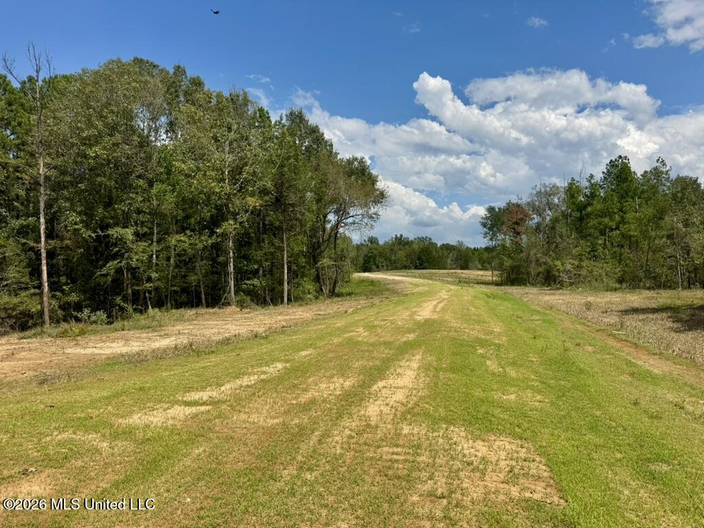 1 Chapel Hill Road Utica, MS 39175 - Photo 31 of 107 A44F0747-C389-4556-AD28-AF361BD559CF_1_1