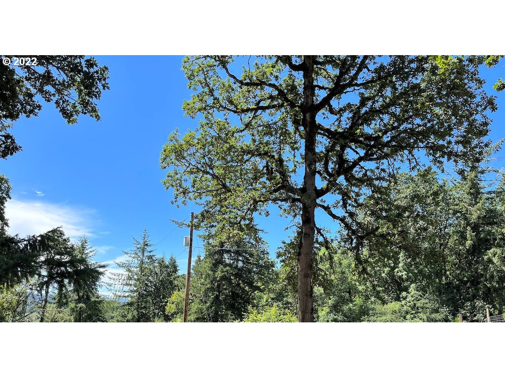 29300 South Salo Road Mulino, OR 97042 - Photo 1 of 1 Gallery Image 1