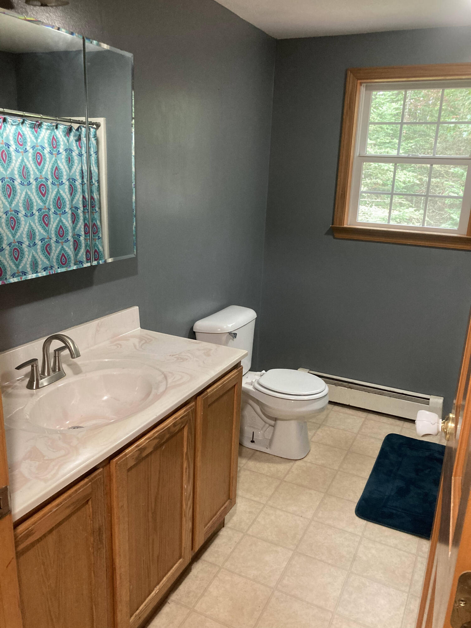 520 Leaches Point Road Orland, ME 04472 - Photo 21 of 74 IMG_5212