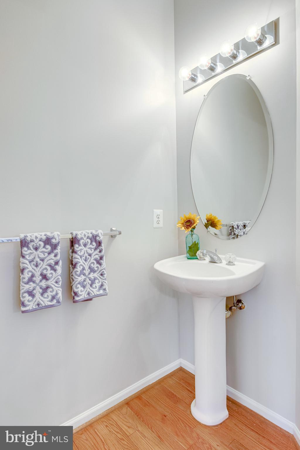 25374 McIntyre Square Chantilly, VA 20152 - Photo 14 of 32 Main Level Powder Room with Pedestal Sink