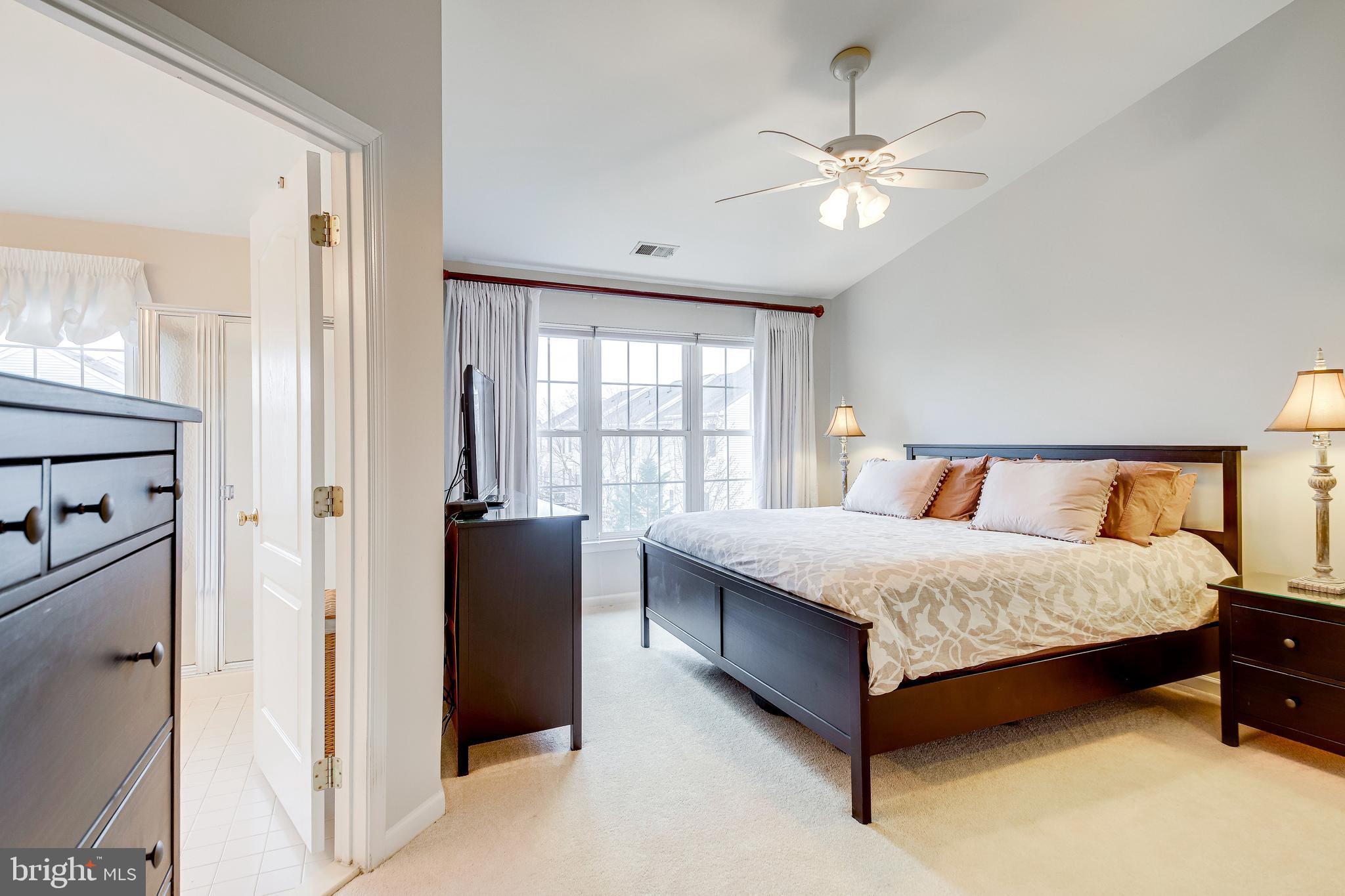 25374 McIntyre Square Chantilly, VA 20152 - Photo 16 of 32 Primary Suite with Vaulted Ceiling & Custom Shades