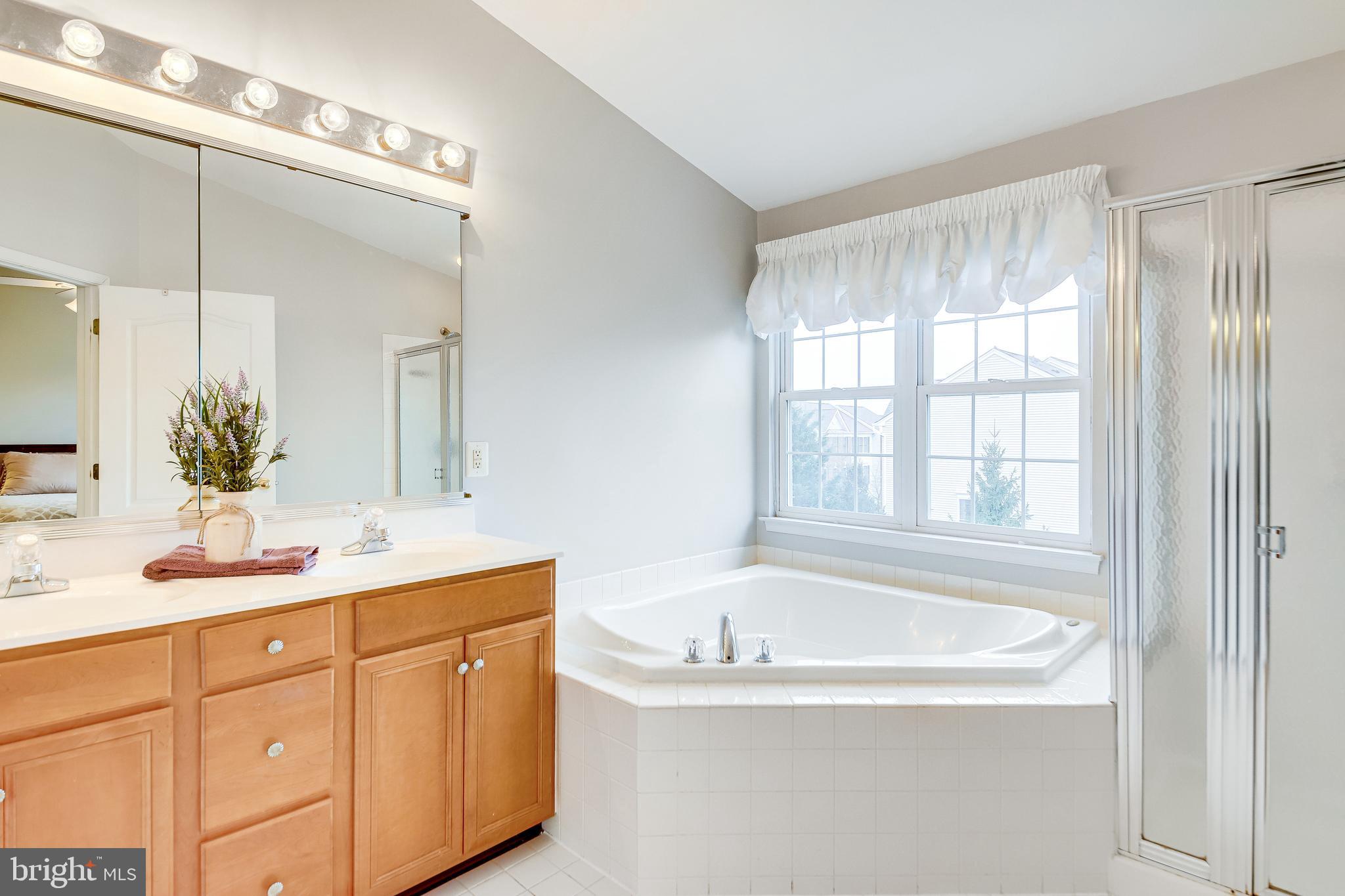 25374 McIntyre Square Chantilly, VA 20152 - Photo 18 of 32 Soaking Tub plus separate Shower Stall