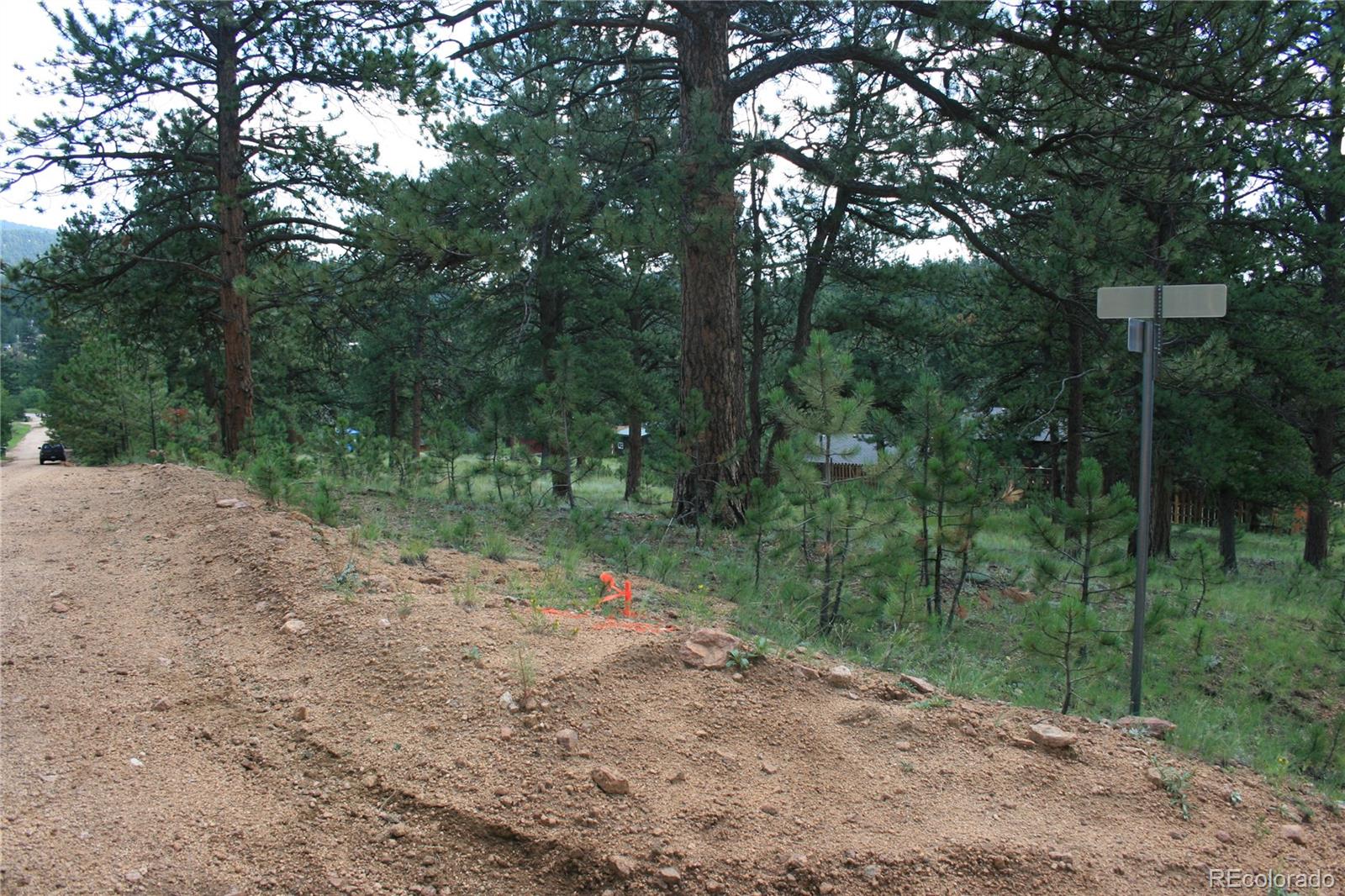 Wolf Road Bailey, CO 80421 - Photo 12 of 26 a big yard with lots of green space and house view