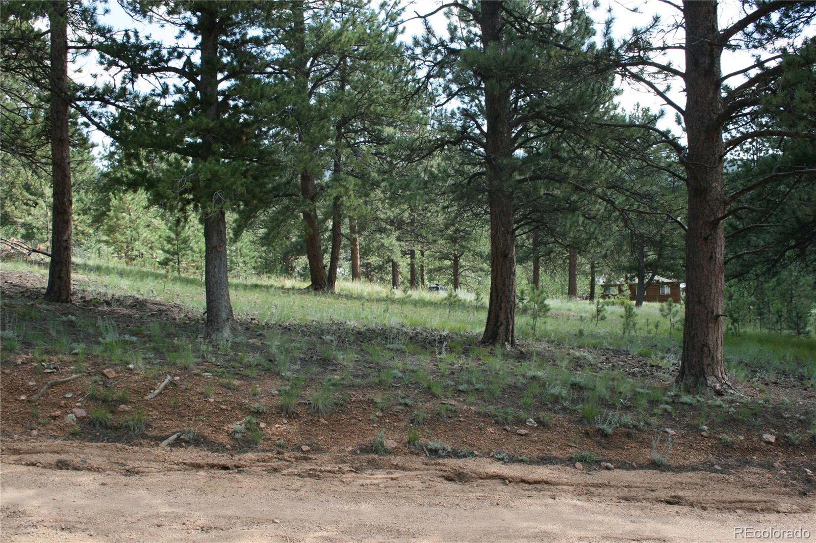 Wolf Road Bailey, CO 80421 - Photo 14 of 26 a view of outdoor space with lots of trees