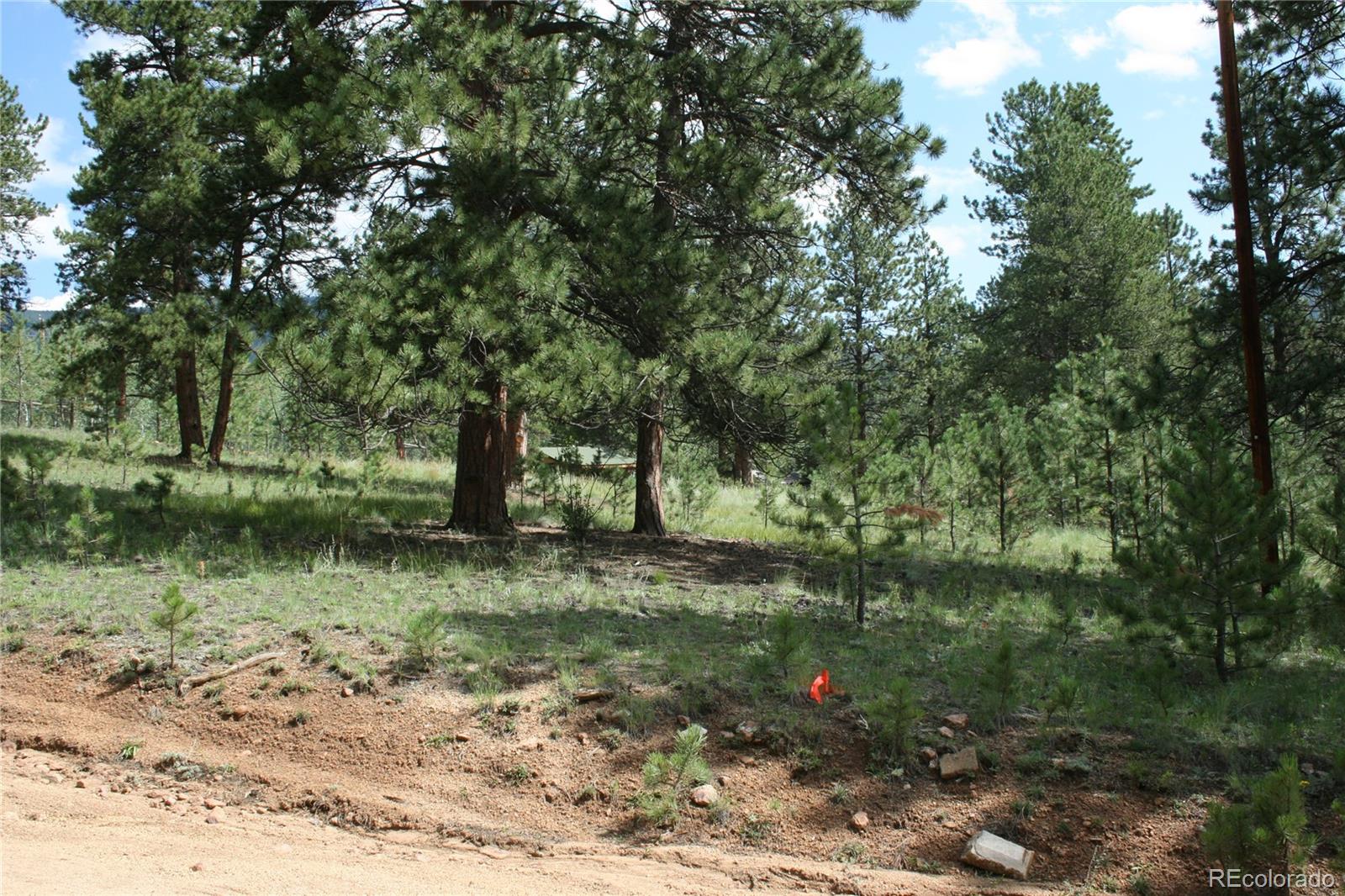 Wolf Road Bailey, CO 80421 - Photo 15 of 26 a view of a tree in a yard