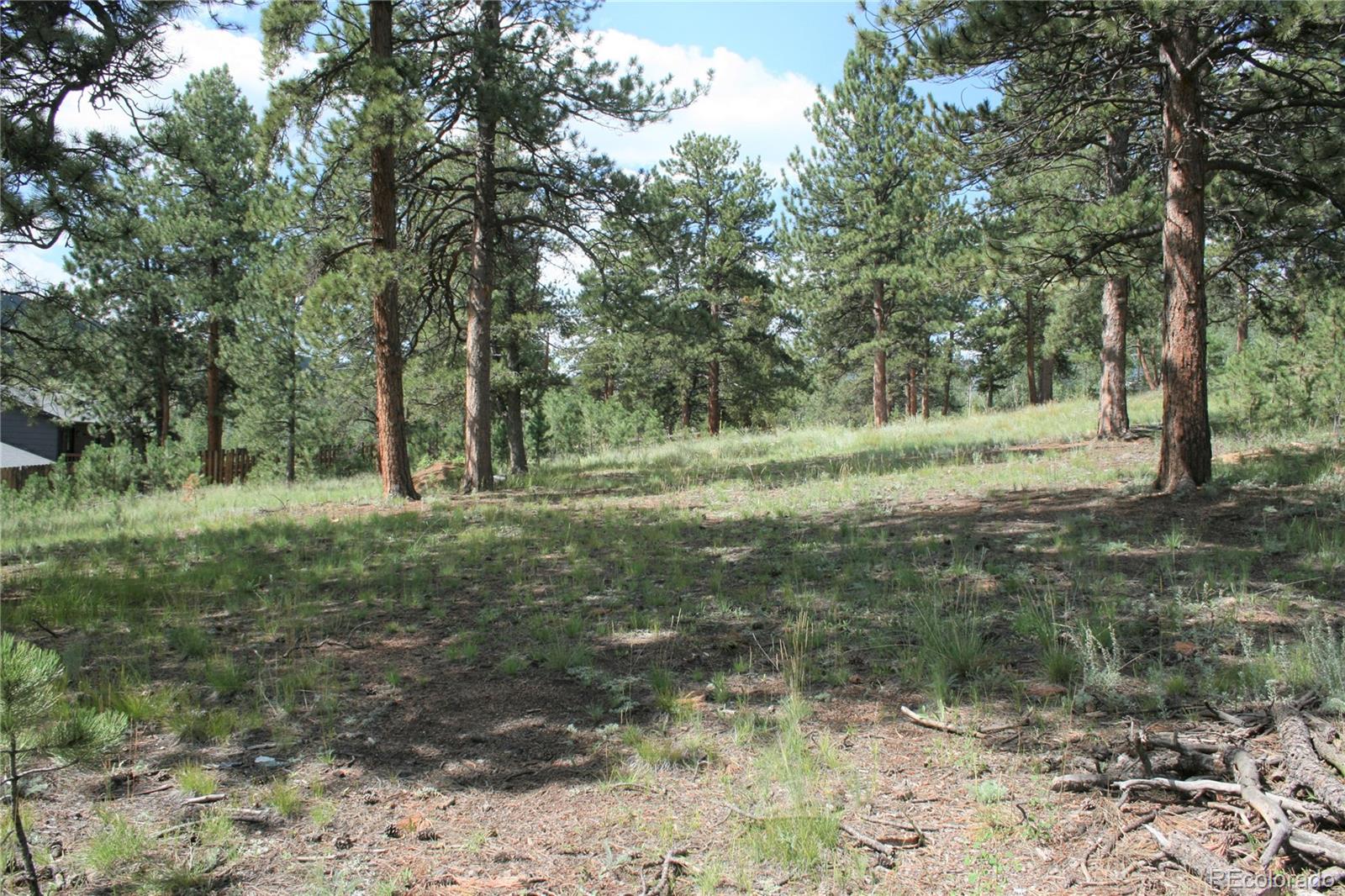 Wolf Road Bailey, CO 80421 - Photo 21 of 26 a view of outdoor space with trees all around