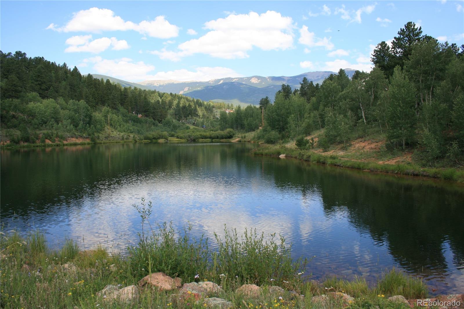 Wolf Road Bailey, CO 80421 - Photo 23 of 26 a view of a lake with a yard