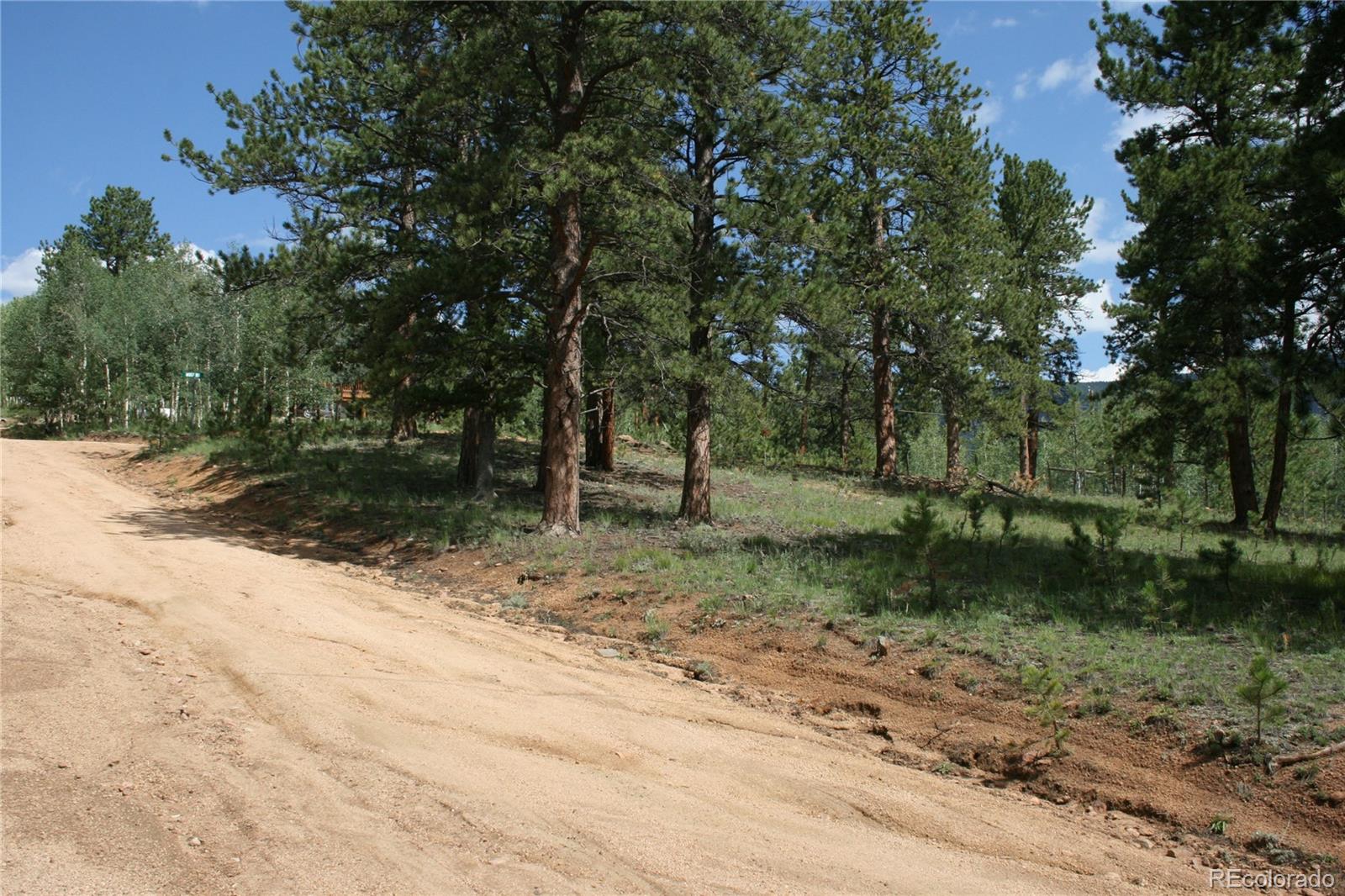 Wolf Road Bailey, CO 80421 - Photo 5 of 26 a view of outdoor space with trees all around