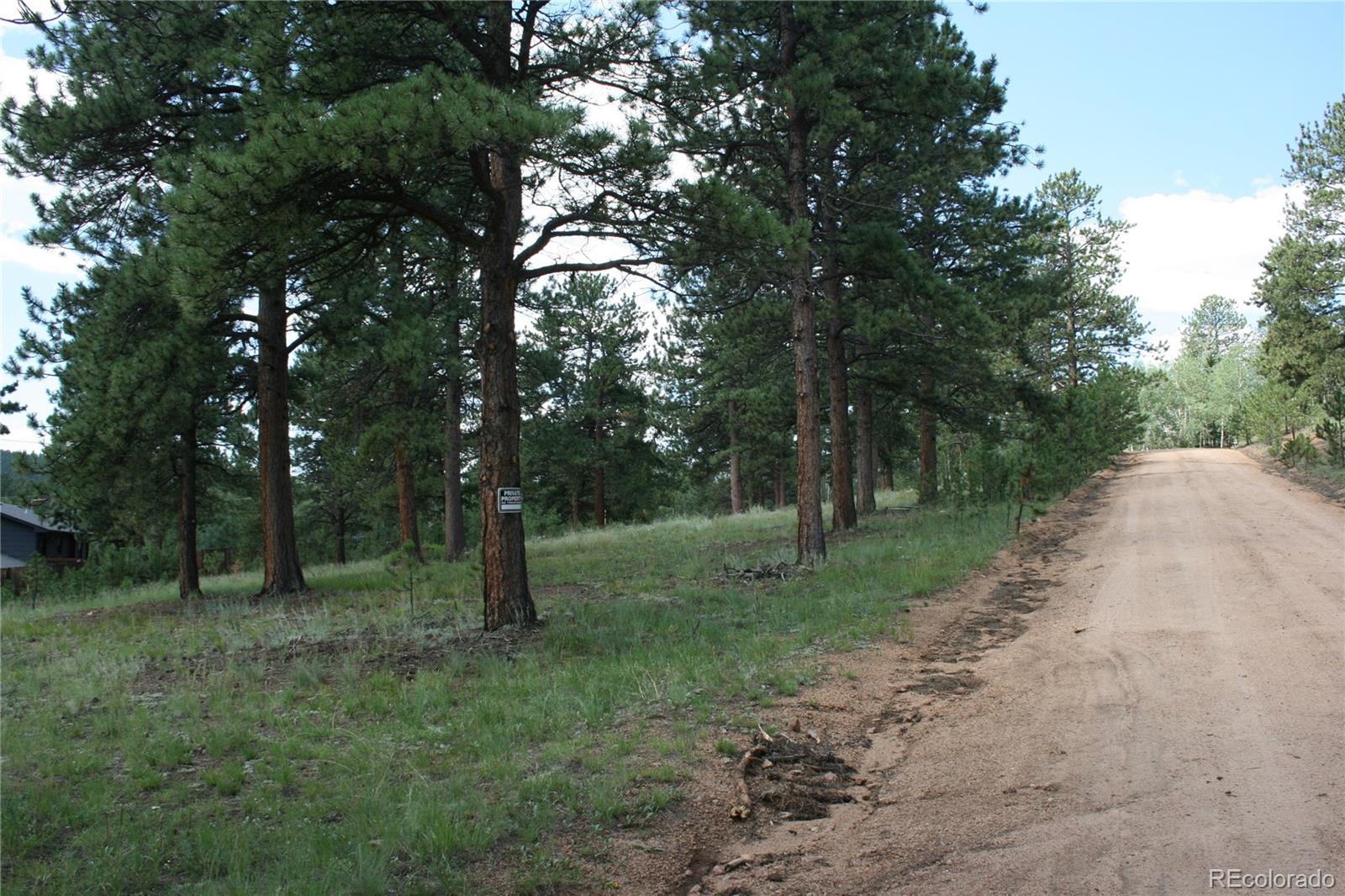 Wolf Road Bailey, CO 80421 - Photo 6 of 26 a view of outdoor space with trees all around