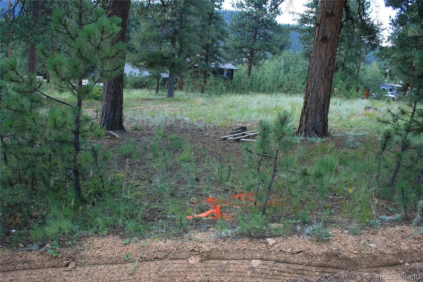 Wolf Road Bailey, CO 80421 - Photo 7 of 26 a backyard of a house with lots of green space