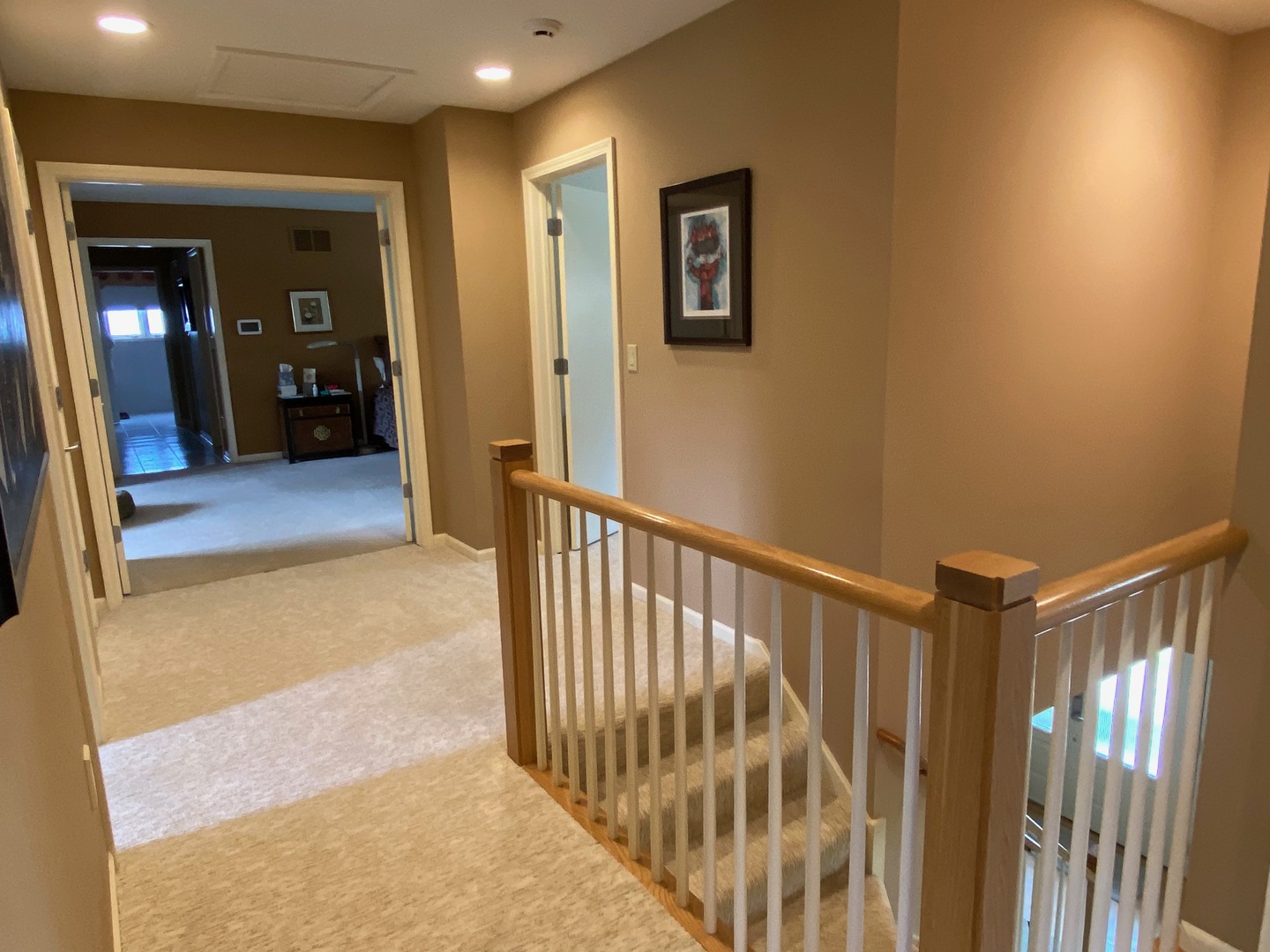 790 East Gartner Road Naperville, IL 60540 - Photo 17 of 34