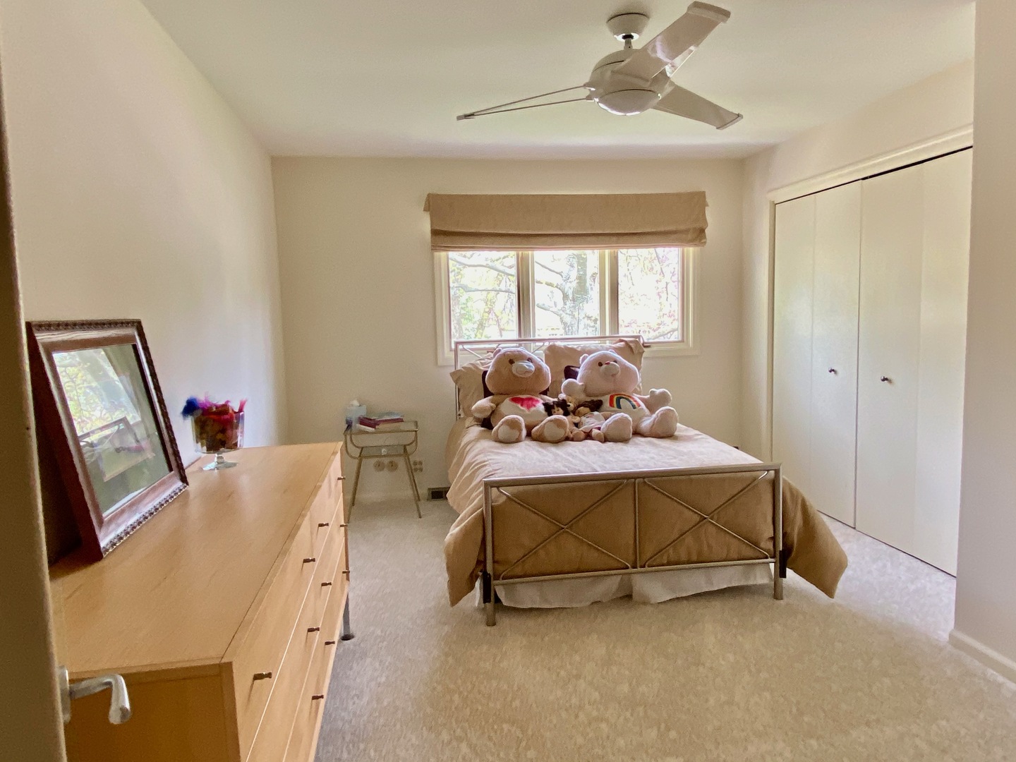 790 East Gartner Road Naperville, IL 60540 - Photo 24 of 34