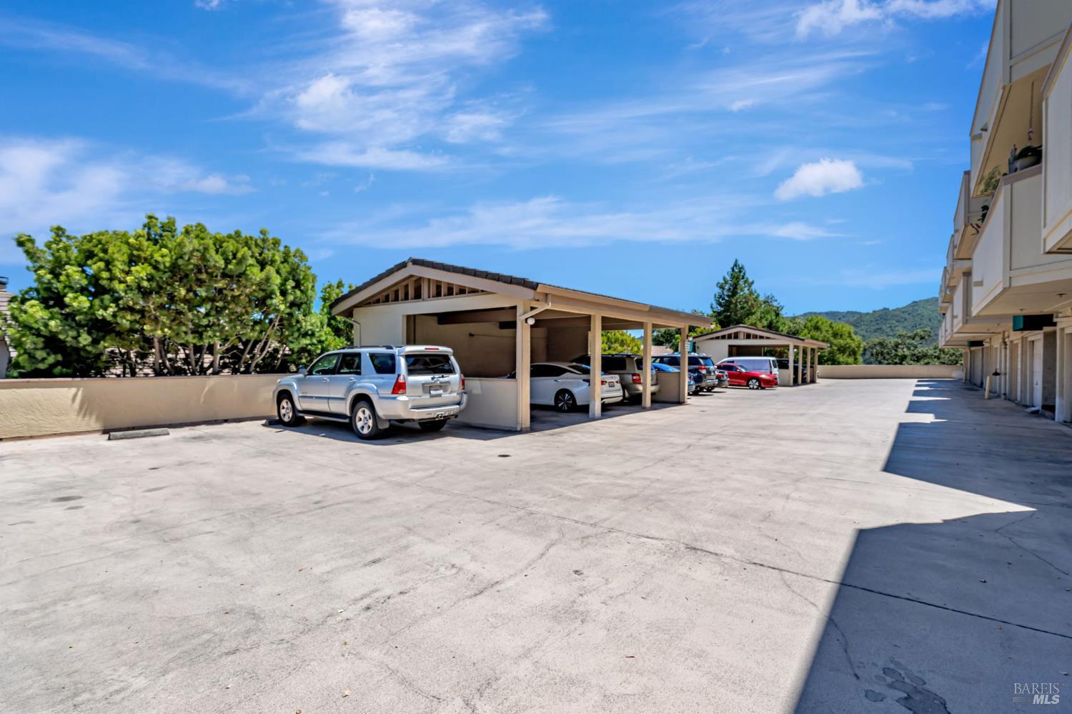 270 Channing Way, Unit 1 San Rafael, CA 94903 - Photo 31 of 32