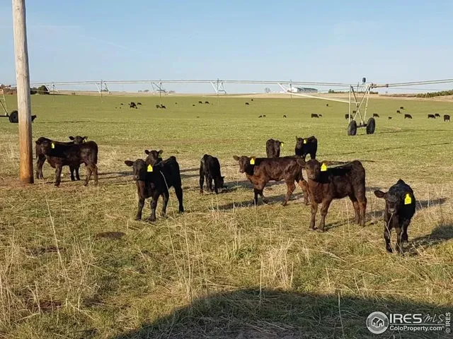 $8,800,000 | 33216 County Road 75, Crook, CO 80726