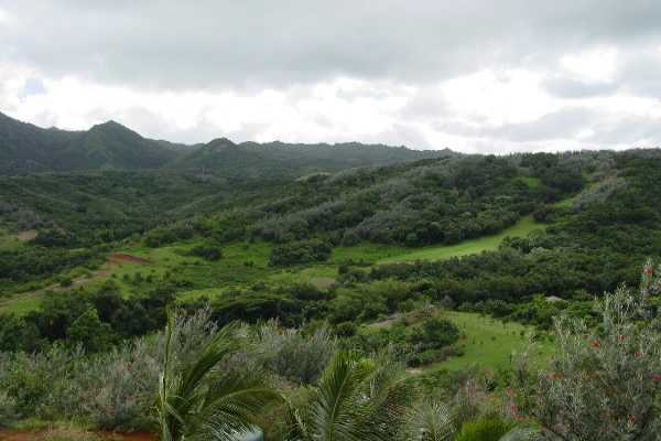 6867 Koolau Road Kilauea, HI 96754 - Photo 3 of 8 a view of a mountain range with lush green forest